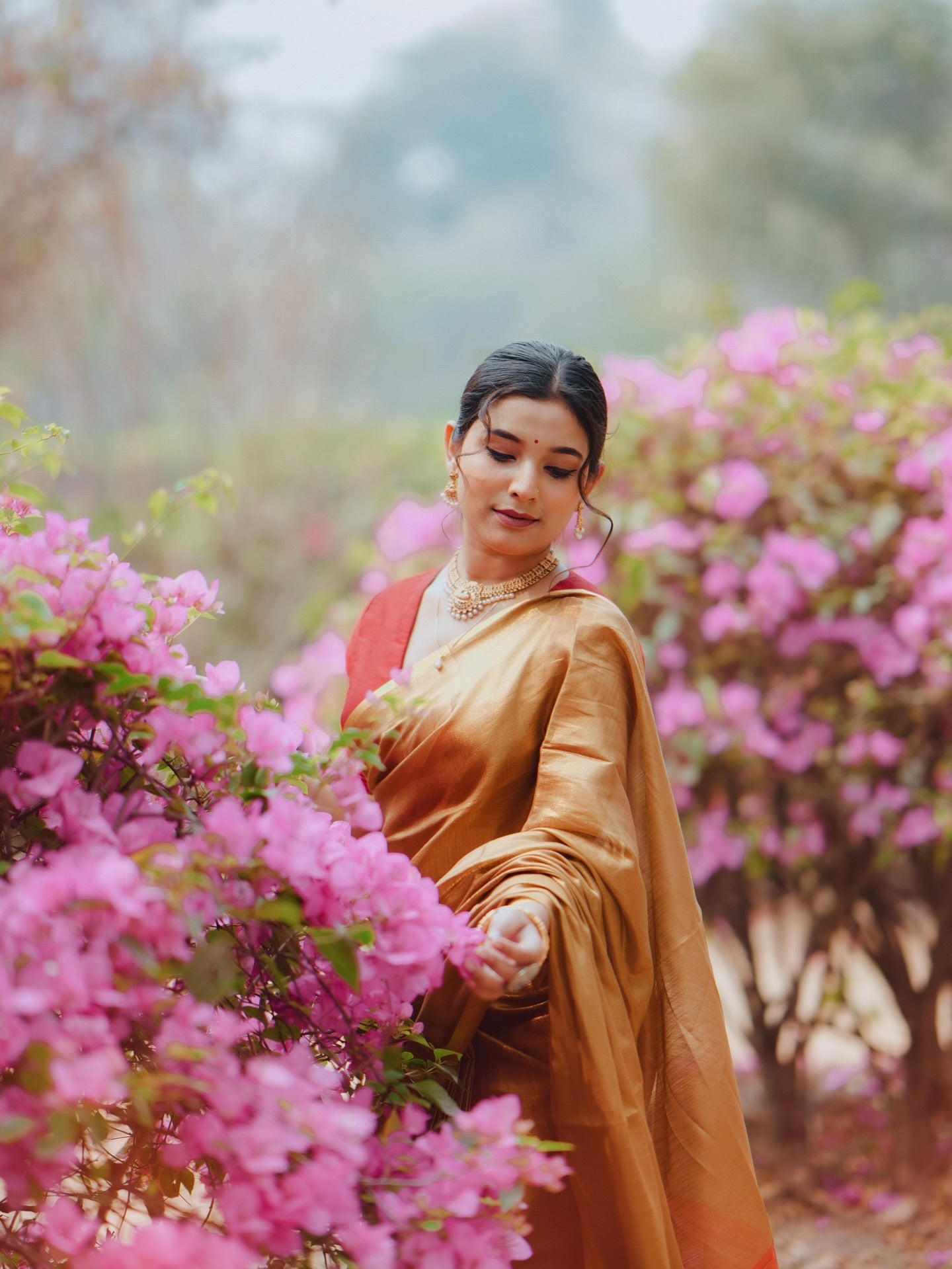 Buy MySilkLove Corn Gold Handloom Tissue Saree Online