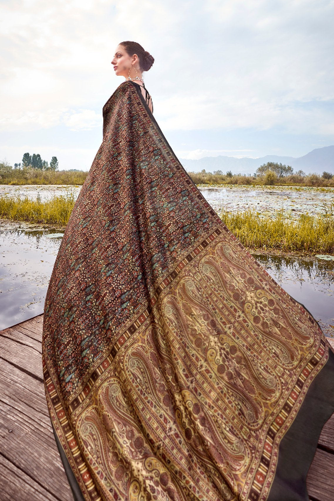 Buy MySilkLove Soya Brown Printed Pashmina Silk Saree Online