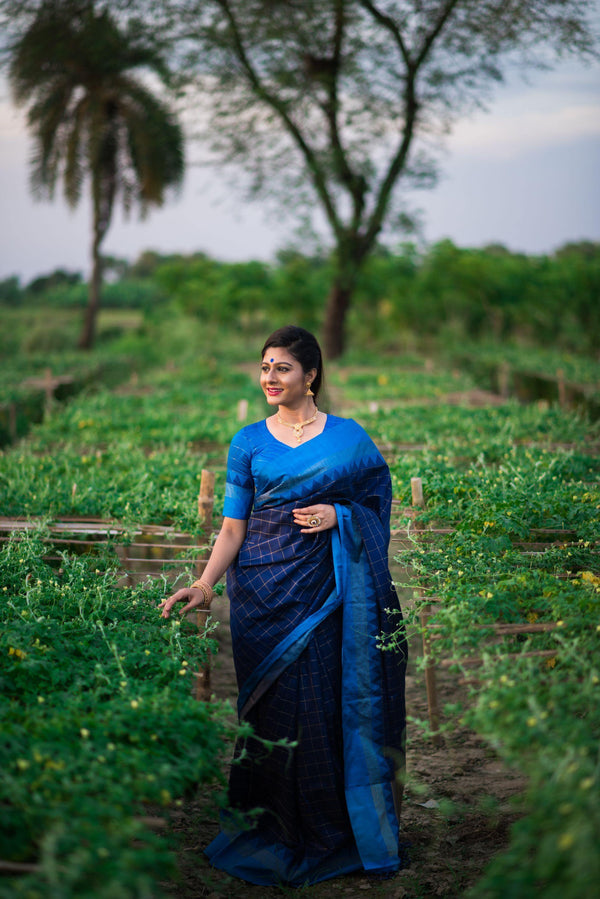 Ebony Blue Banarasi Raw Silk Saree