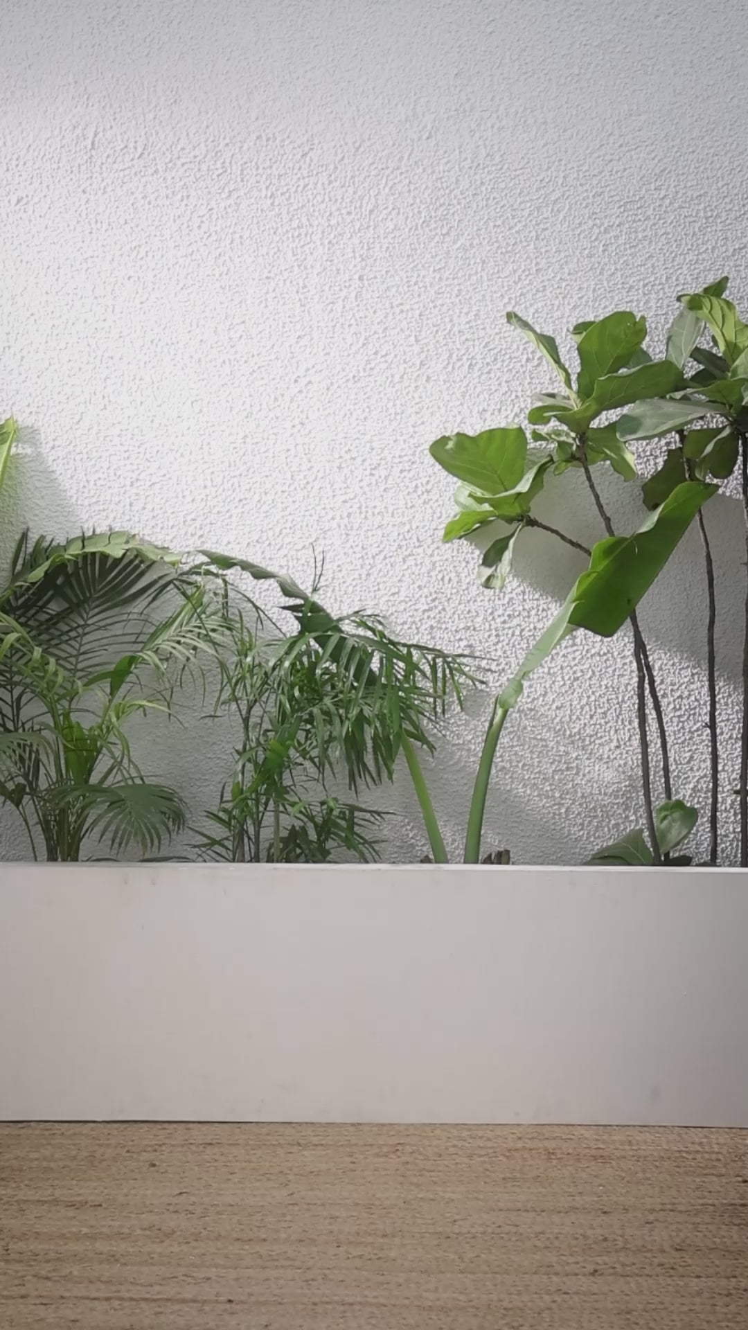 Buy MySilkLove Lotus Pink Printed Cotton Saree Online