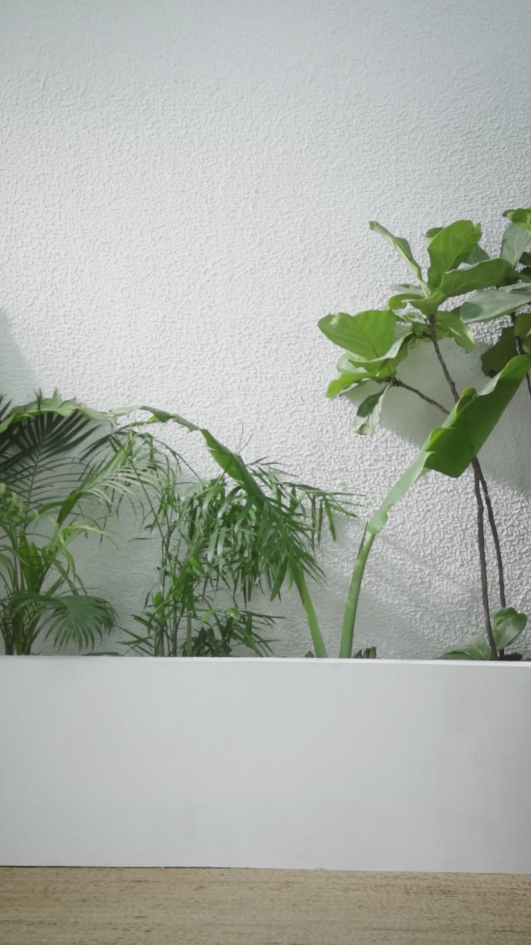 Buy MySilkLove Bistre Brown Banarasi Woven Soft Silk Saree Online