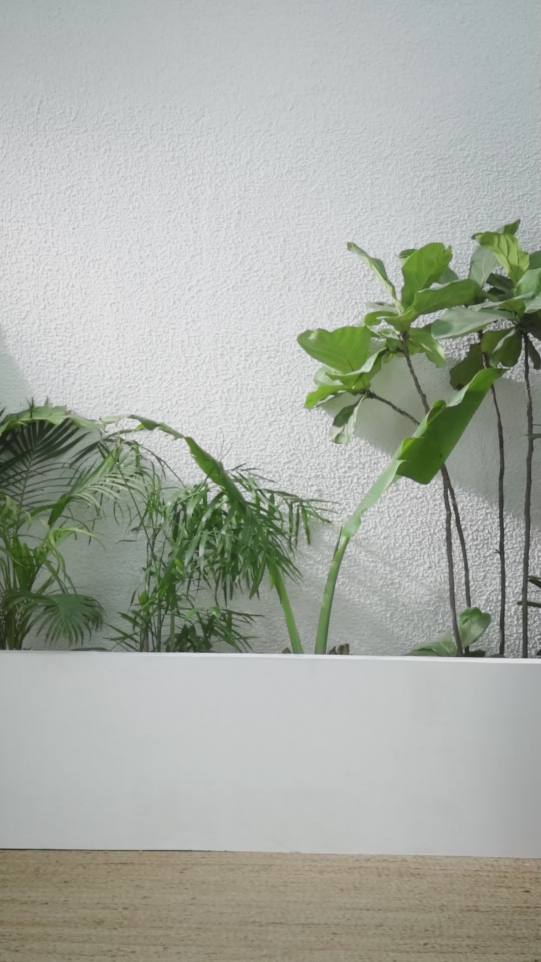 Buy MySilkLove Auburn Brown Banarasi Woven Soft Silk Saree Online