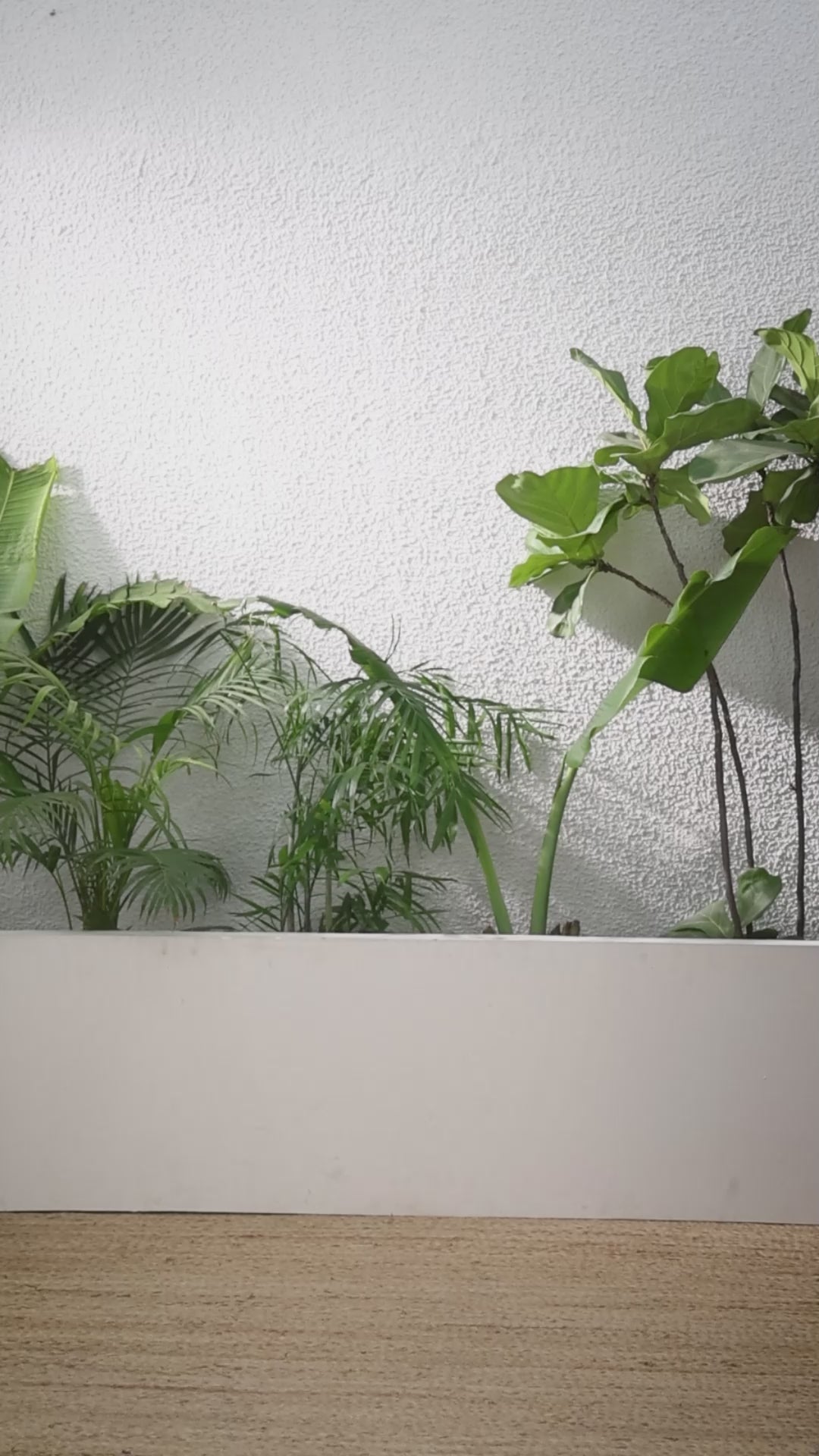 Buy MySilkLove Melon Orange Banarasi Handloom Soft Silk Saree Online