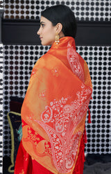 Flamingo Red Zari Woven Banarasi Saree