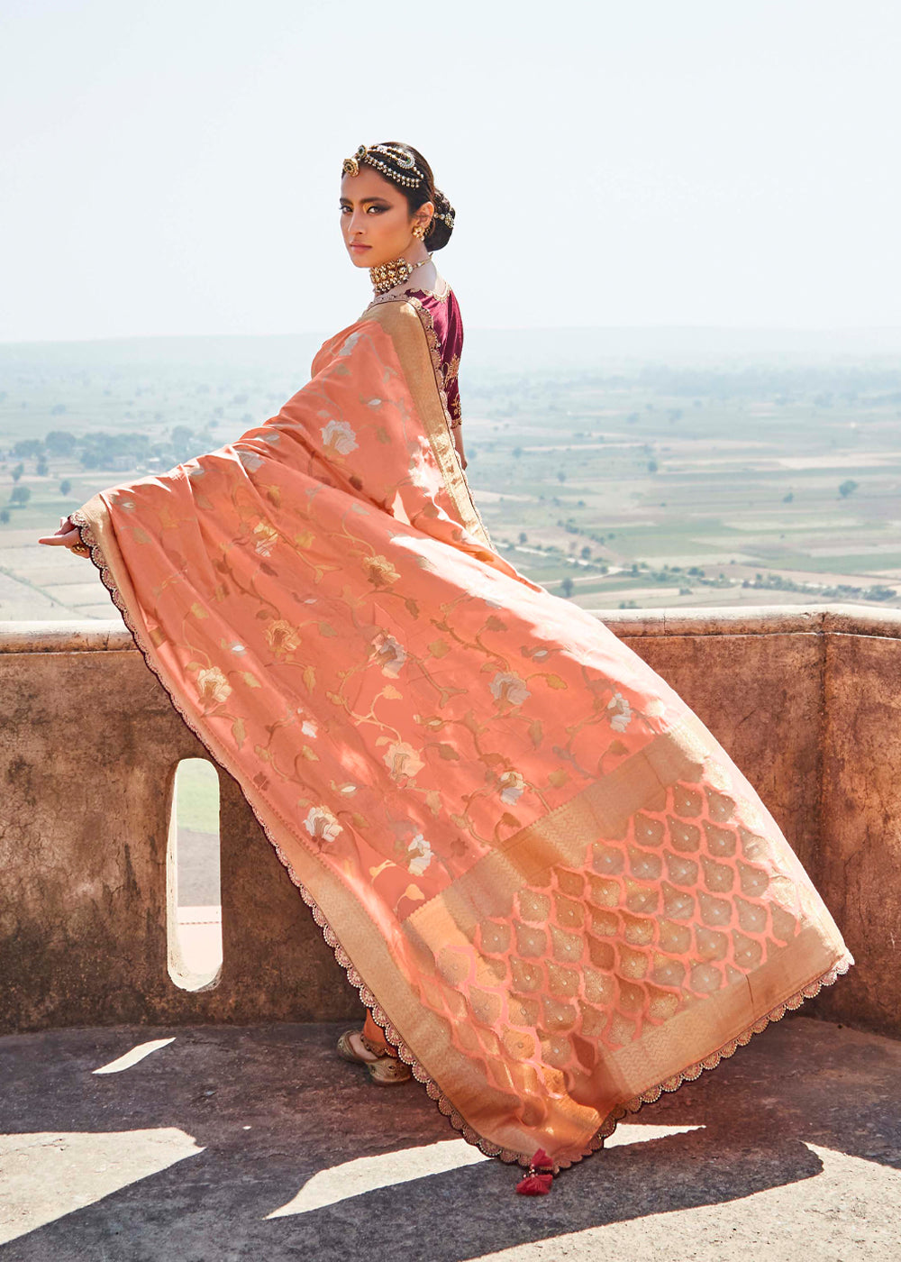 Buy MySilkLove Vivid Peach and Brown Zari Woven Designer Banarasi Saree Online
