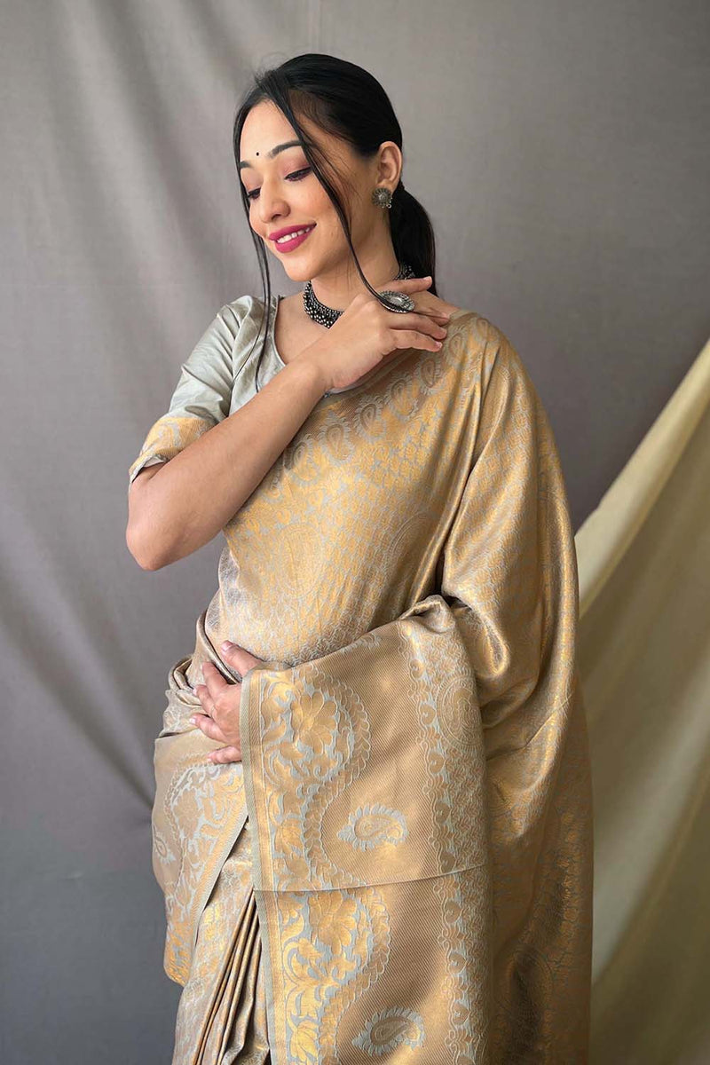 Sandalwood Color Organza Silk Mark Saree | Saree blouse designs, Organza  saree, Blouse designs