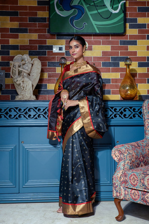 Ebony Clay Black Banarasi Raw Silk Saree