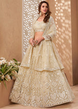 Pavlova Light Yellow Designer Net Lehenga with Multi Thread Embroidery Work